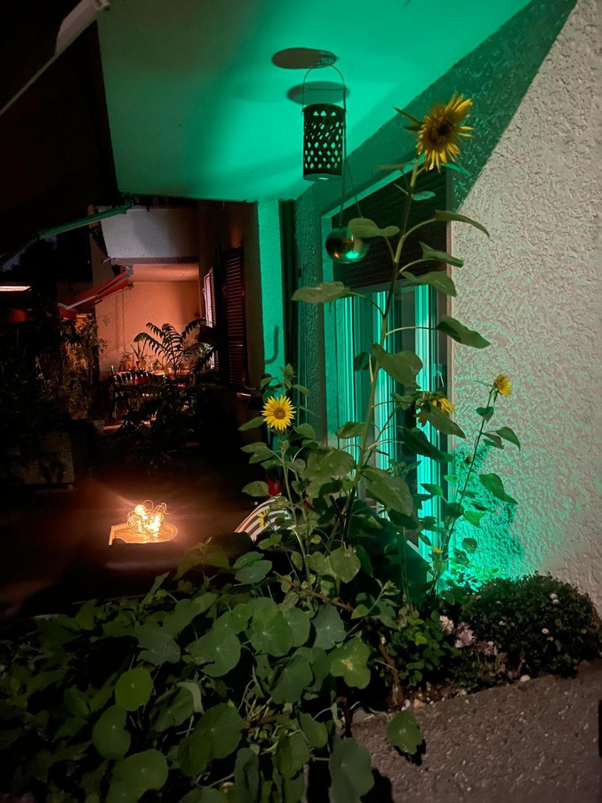 Bellezza In Lorraine Apartman Bern Kültér fotó